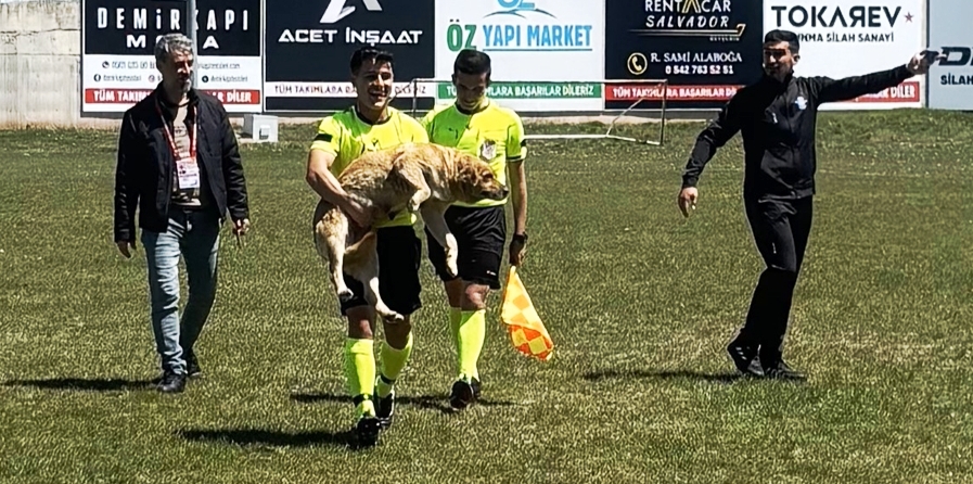 Konya'da köpeğe kırmızı kart gösteren hakem o anları anlattı