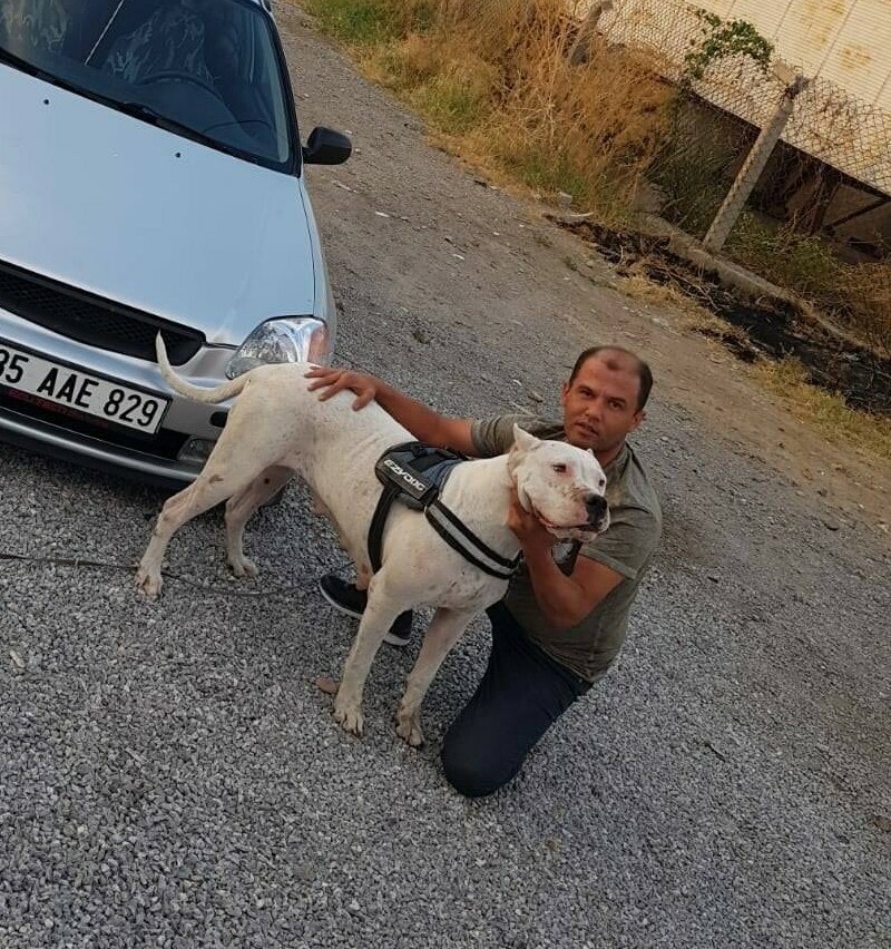 Tartıştığı oğlunu bıçaklayarak öldürdü
