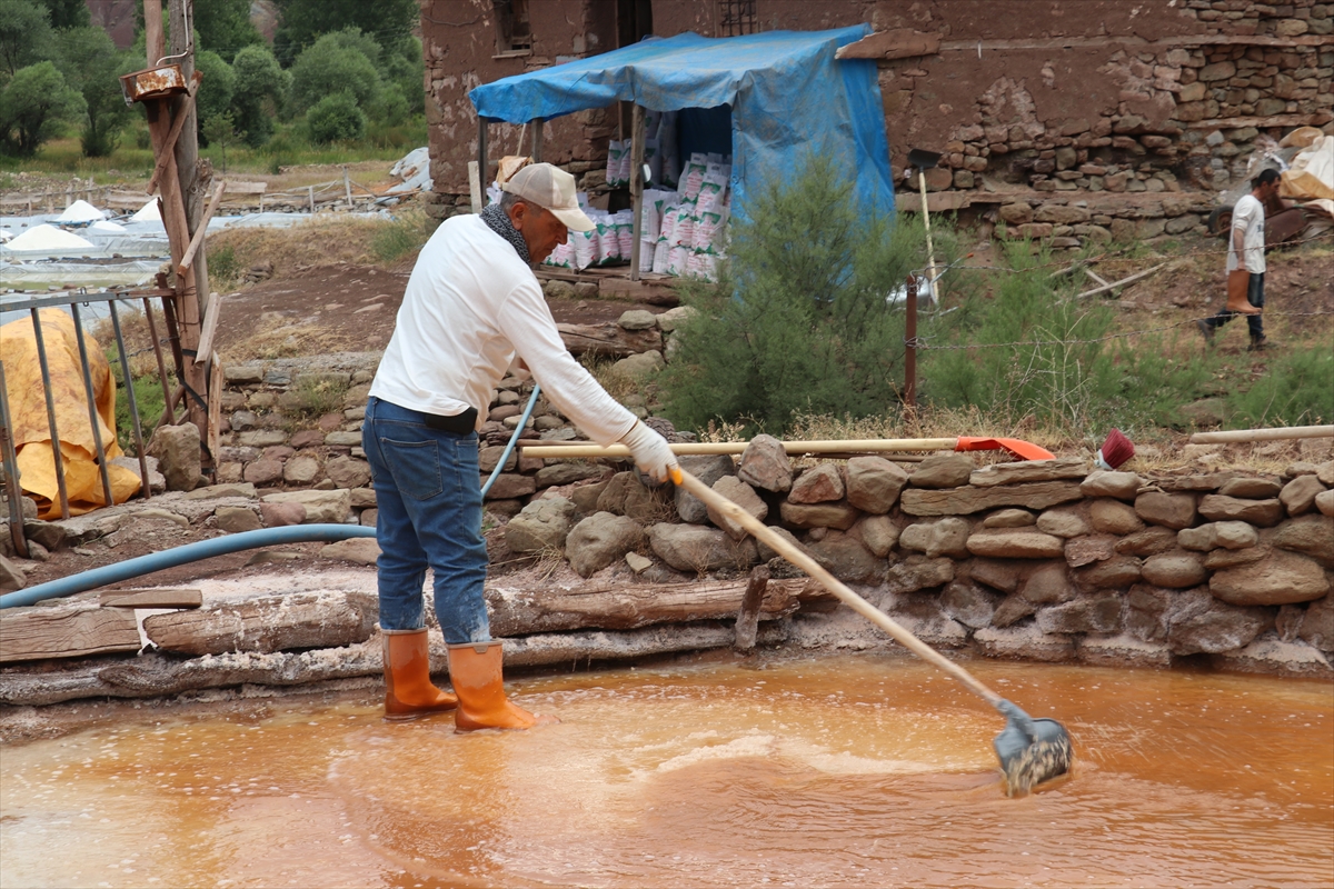 Ünlü şeflerin de tercih ettiği "altın tuz"da hasat zamanı