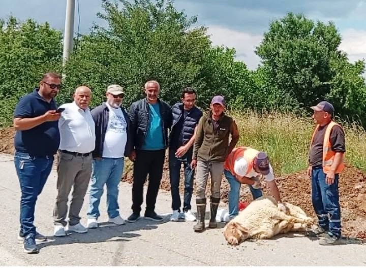 Taşağıl’da Doğalgaz Mesaisi Kurban Kesilerek Başladı!