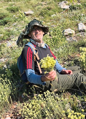 Doğadan Gelen Altın Şifa: Faydaları