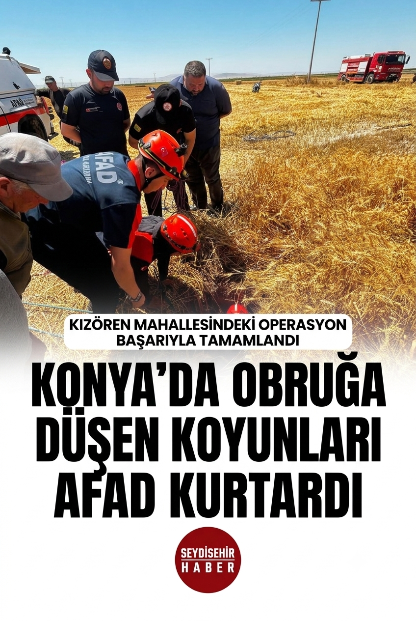 Konya’da Ekin Tarlası Çöktü: Obruğa Düşen Koyunlar Kurtarıldı