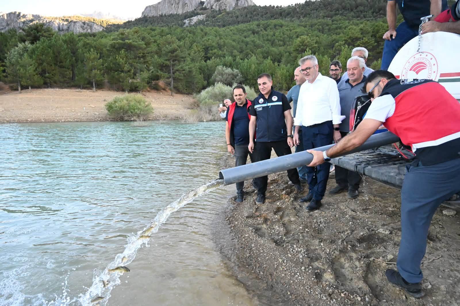 Seydişehir Barajlarında Su Kaynakları Bereketleniyor: 500 Bin Sazan Yavrusu Suyla Buluştu