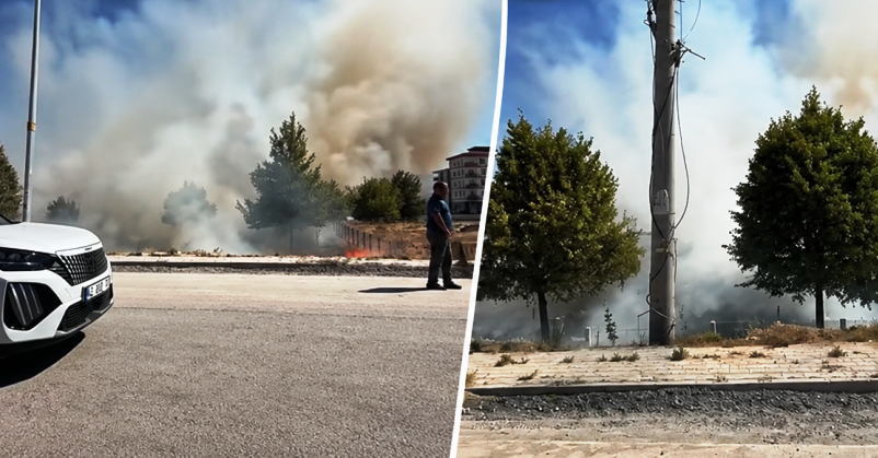 Konya Ereğli’de Ağaçlık Alanda Yangın