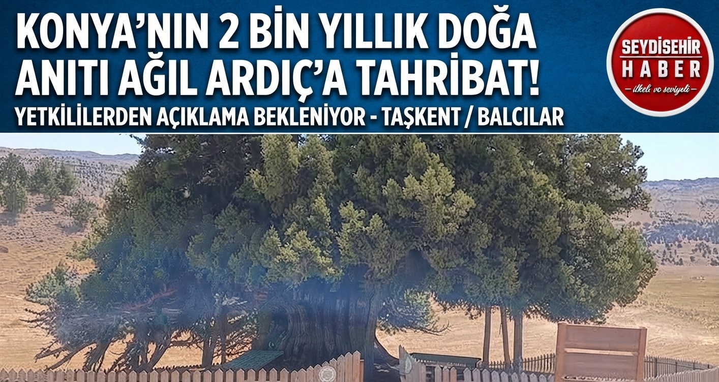 2 Bin Yıllık Anıt Ağaç Ağıl Ardıç'ta Yürek Sızdıran Tahribat: Doğaseverlerden Tepki Yağdı