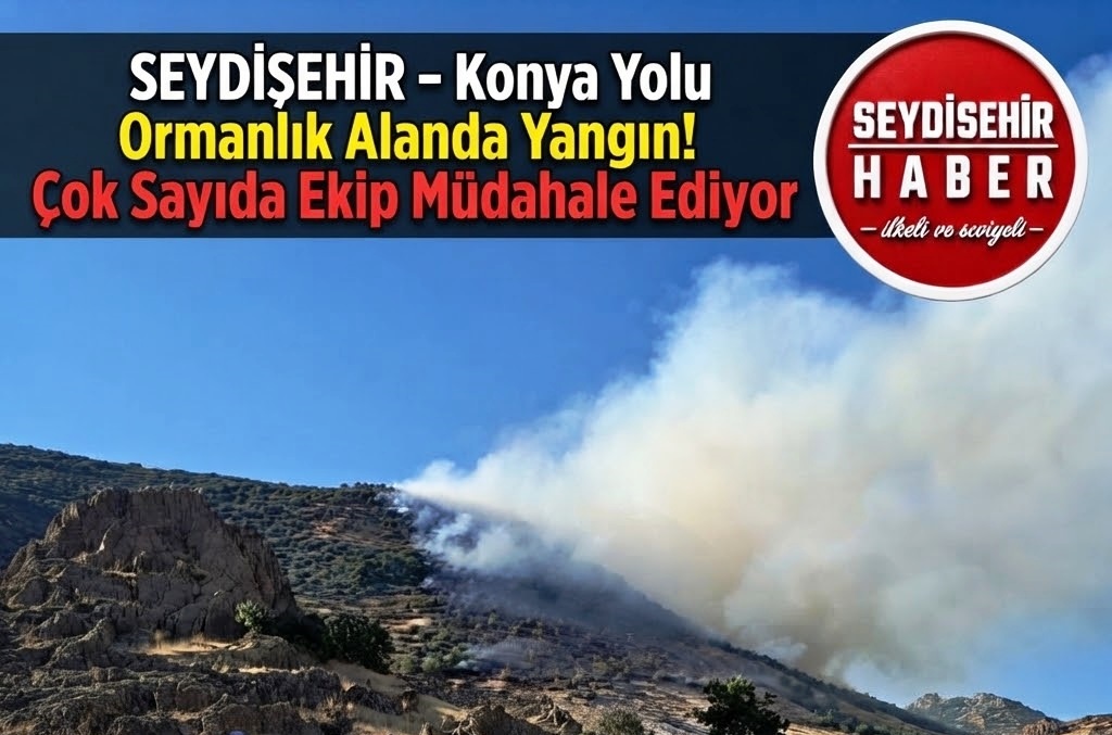 Konya-Seydişehir Karayolunda Orman Yangını: Havadan ve Karadan Müdahale