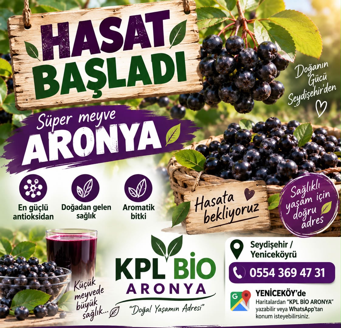 HASAT  DÖNEM 14  EYLÜL