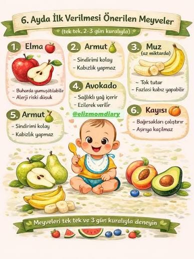 6 ay ek gıda Rehberi: Bebeğinizin İlk Lezzet Yolculuğuna Sağlıklı Bir Başlangıç