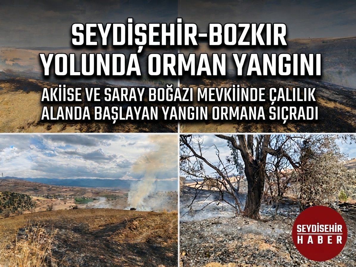 Seydişehir-Bozkır Karayolunda Orman Yangını: Ekiplerin Hızlı Müdahalesiyle Kontrol Altında