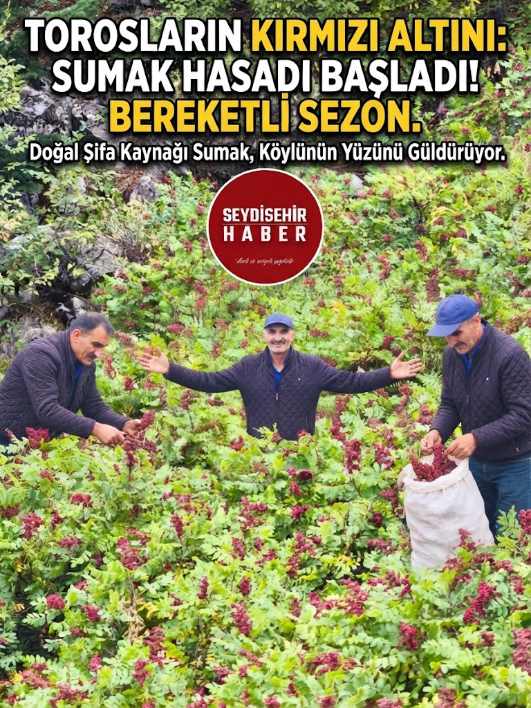 Torosların Kırmızı Altını “Sumak” Para Basıyor: Bardakla Satılan Şifa Kaynağına Yoğun İlgi!