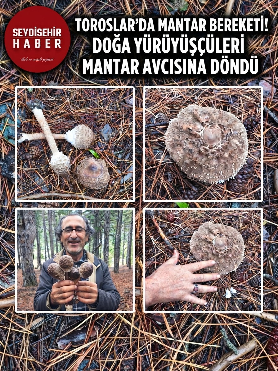 Toroslar'da Sonbahar Bereketi: Yağmurlar Mantar Sezonunu Erkene Çıkardı