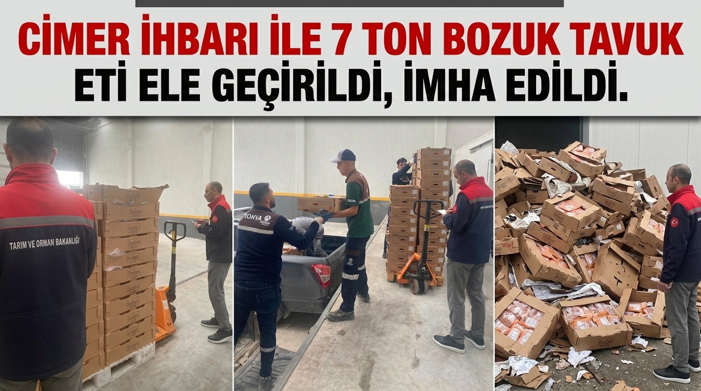 CİMER İhbarı Karatay’da İnsan Sağlığını Tehdit Eden Tonlarca Eti Ortaya Çıkardı: 7 Ton Bozuk Tavuk Eti Ele Geçirildi!