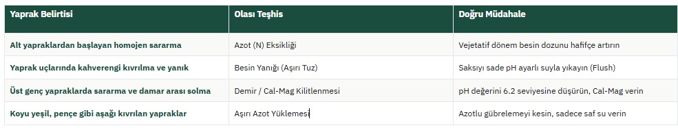 Ekran görüntüsü 2026-10-26 150651.jpg