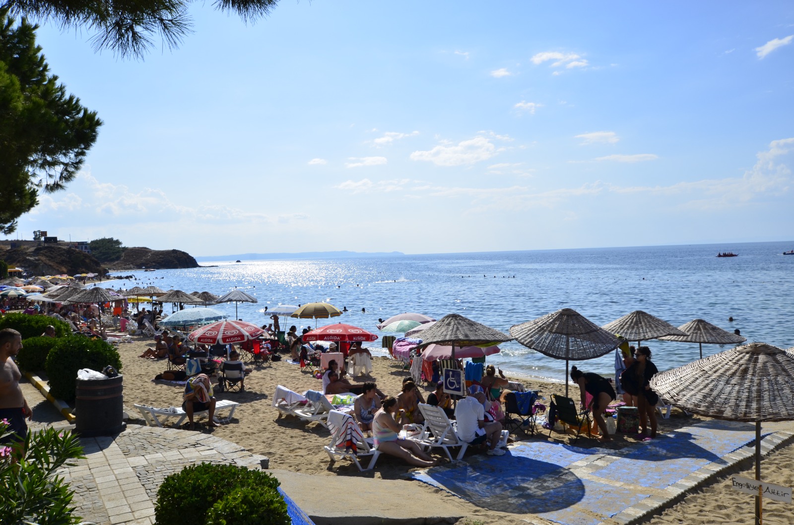 2025Avşa Adası Tatil Fiyatları Rehberi