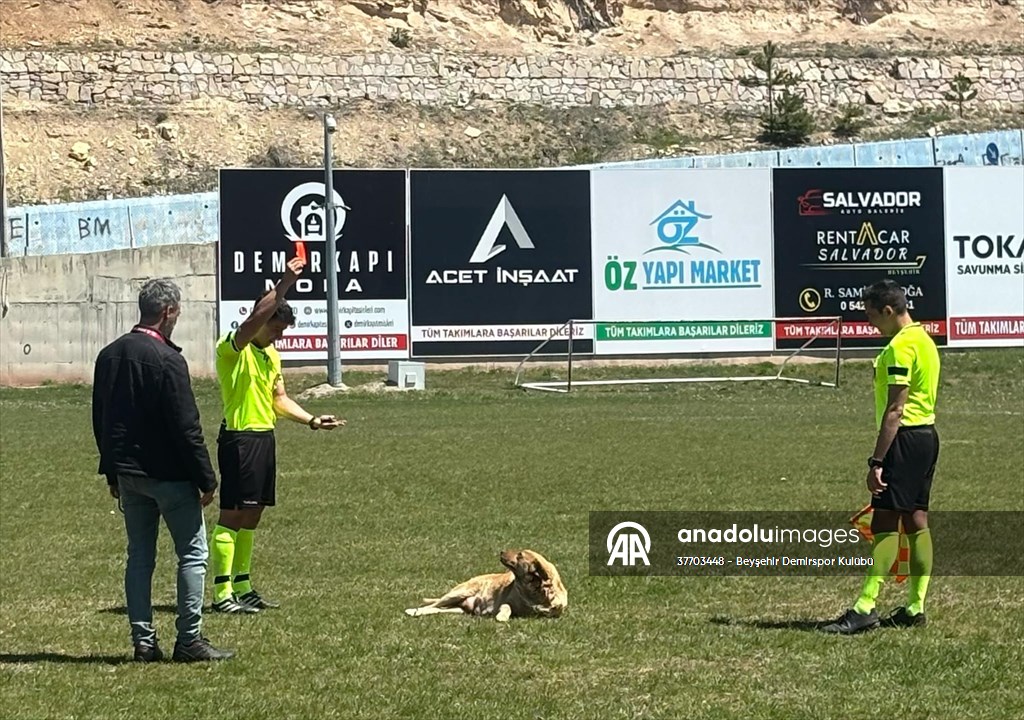 Beyşehir'de Amatör maçta hakem sahaya giren köpeği kırmızı kart gösterip dışarı çıkardı