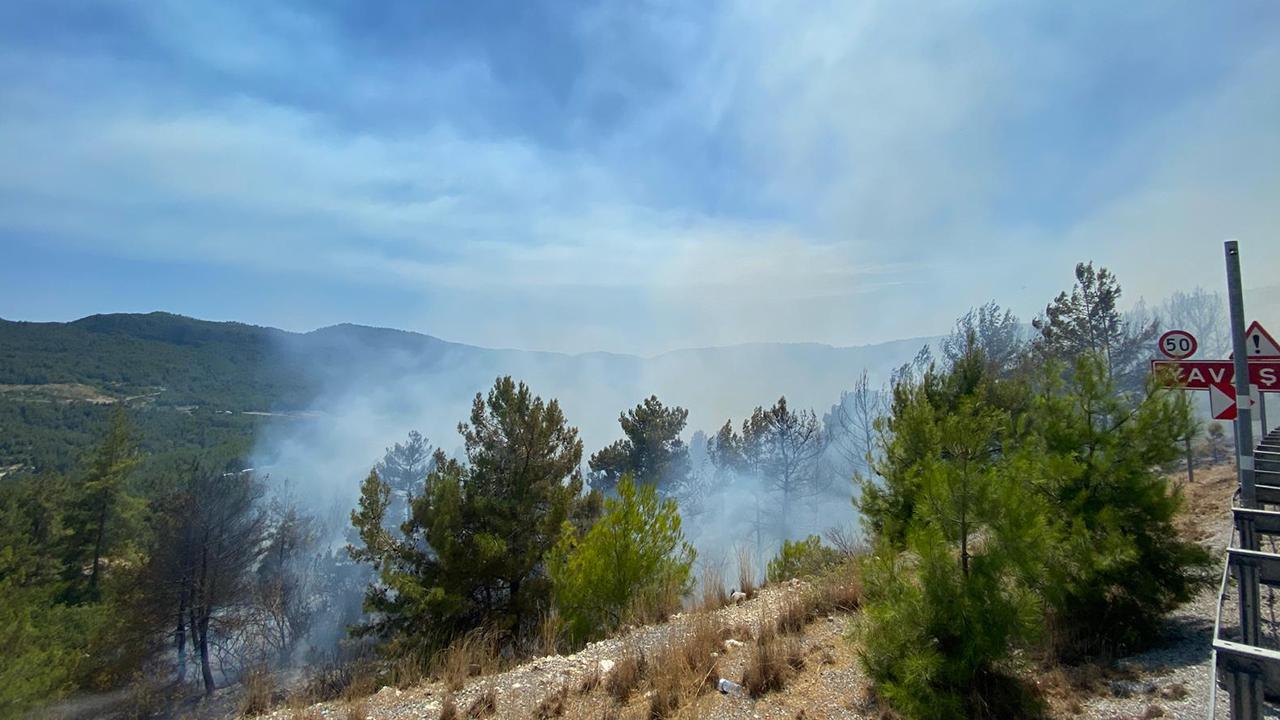 ANTALYA - Akseki ilçesinde çıkan orman yangını kontrol altında