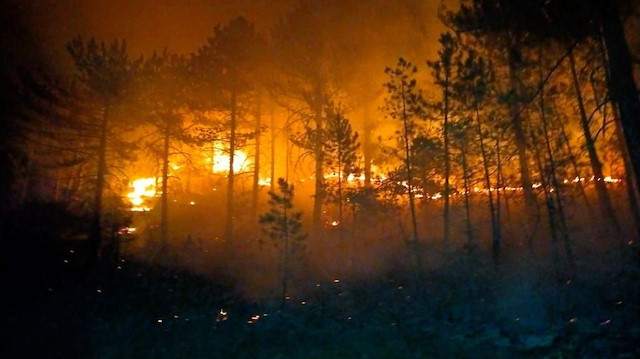Beyşehir'de ormanlık alanda çıkan yangın söndürüldü