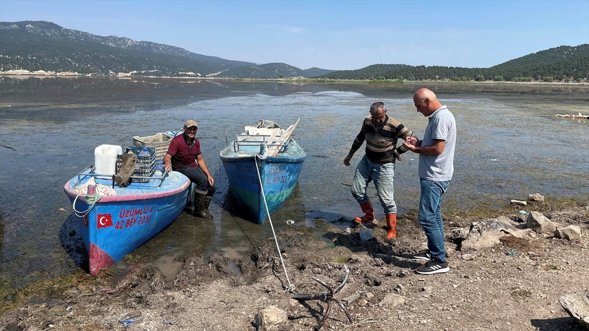 Beyşehir Gölü'nde avlanan balıklara boy denetimi