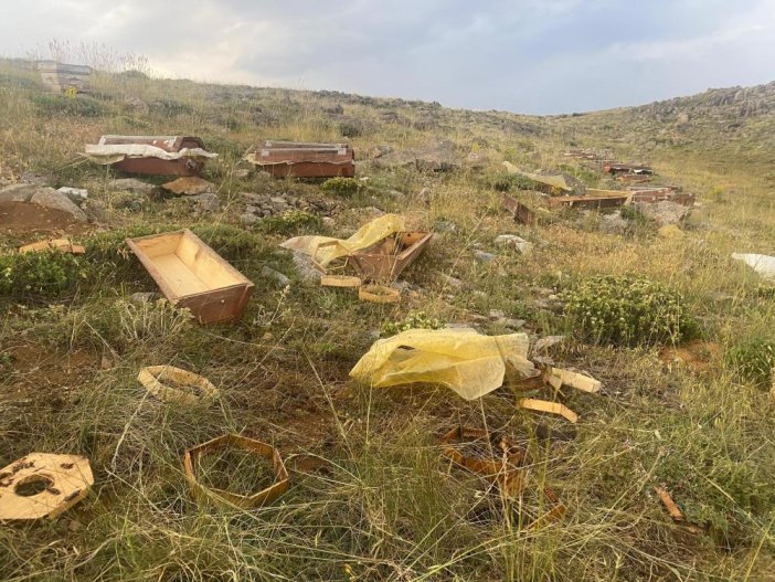 Bozkırda  Arı kovanlarına  ayılar zarar  verdi