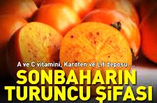 C Vitamini, Lif, Karoten ve A Vitamini'nin Gizli Deposu: Sonbaharın Turuncu Şifasını Yakından Tanıyalım