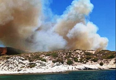 Çeşme'deki orman yangını kontrol altında: Üç kişi hayatını kaybetti