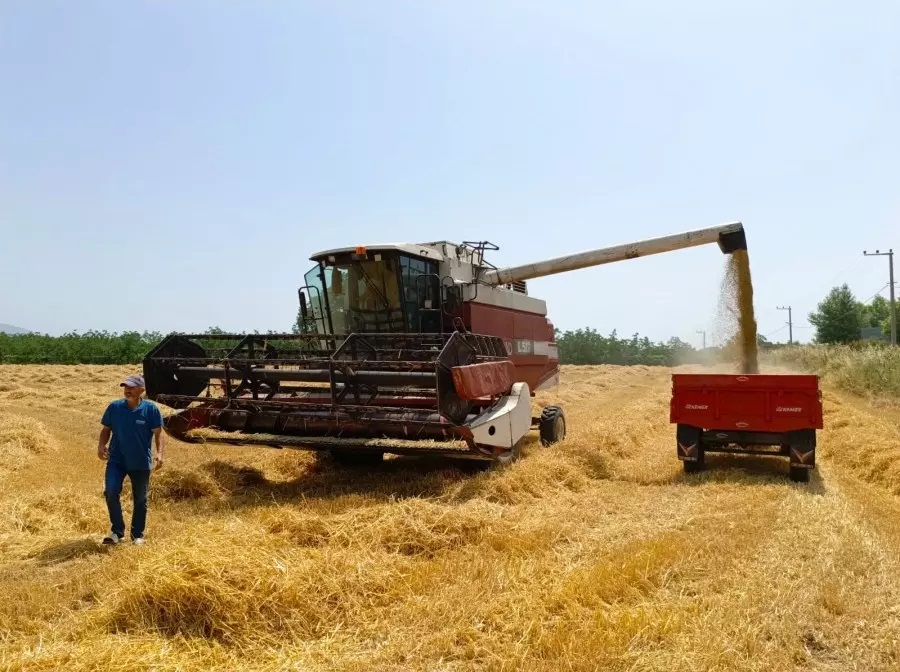 Çiftçiler buğday alım fiyatında revize bekliyor