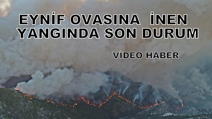 EYNİF OVASINA  İNEN  YANGINDA  SON DURUM VİDEOHABER