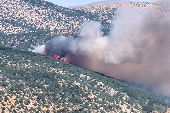 Konya'nın Ilgın İlçesi Gökçeyurt Mahallesindeki ormanlık alanda yangın çıktı.