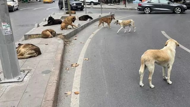 Kapsamlı rapor sunuldu, Erdoğan talimatı verdi: Kapanmadan Meclis'ten geçirin...