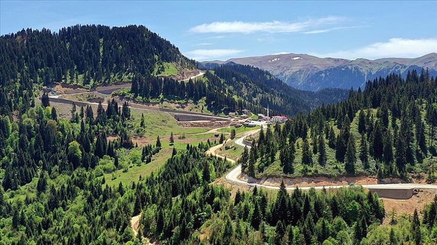 Karadeniz'in yaylaları muhteşem manzaraları ile ziyaretçilerini bekliyor