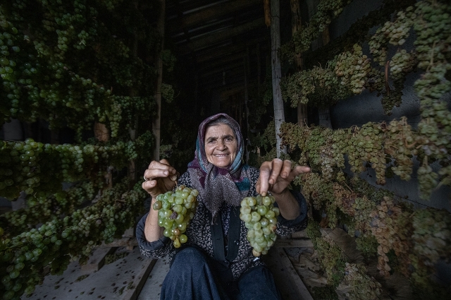 Konya’da Hadim gölge kurutması geleneksel yöntemlerle yapılıyor