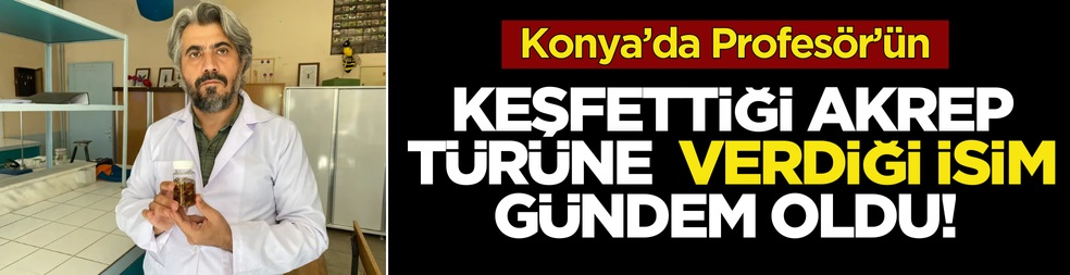 Konya'da yeni akrep türü keşfedildi