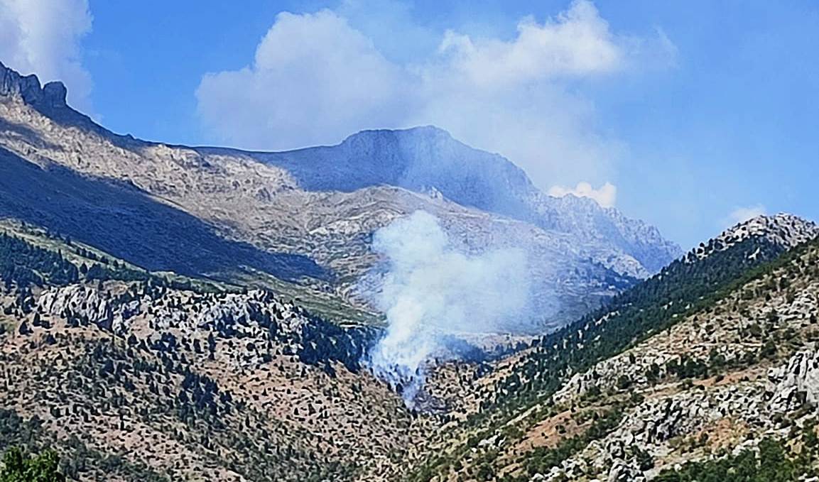 Seydişehir'de  ormanlık alanda yangın çıktı