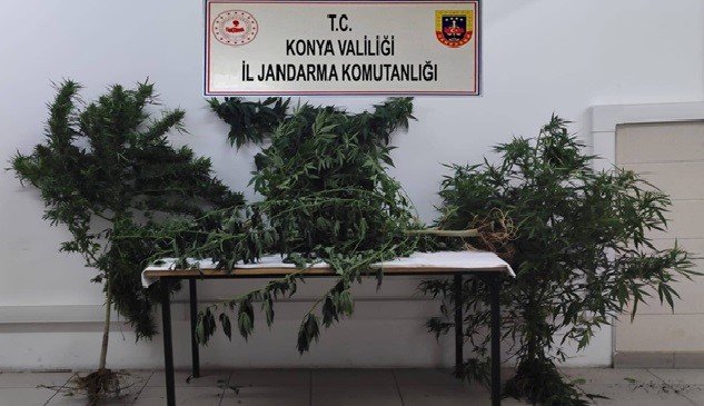 Konyada uyuşturucu operasyonu: 5 gözaltı