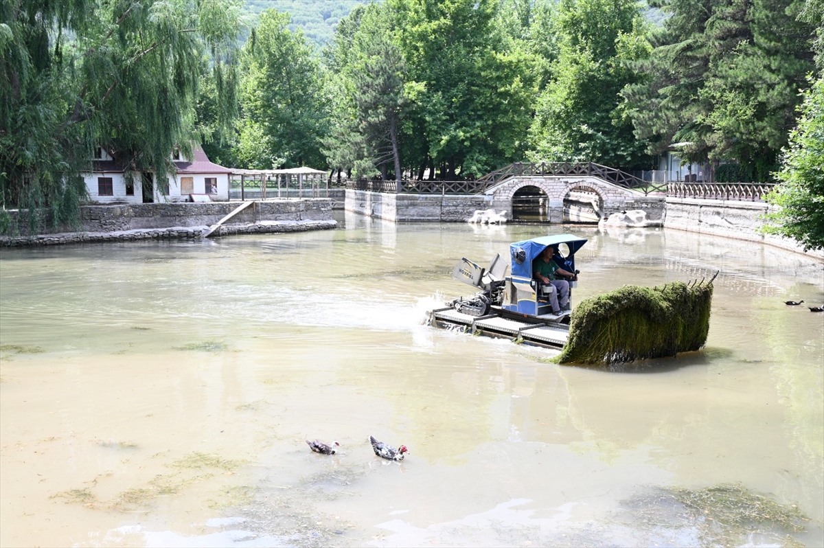 Kuğulu Tabiat Parkı'ndaki göletlerde temizlik çalışması başlattı.