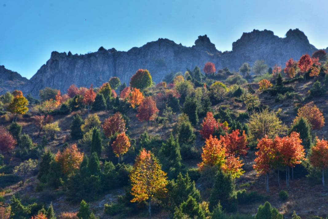 Küpe Dağı: Seydişehir'in Doğal Güzelliği