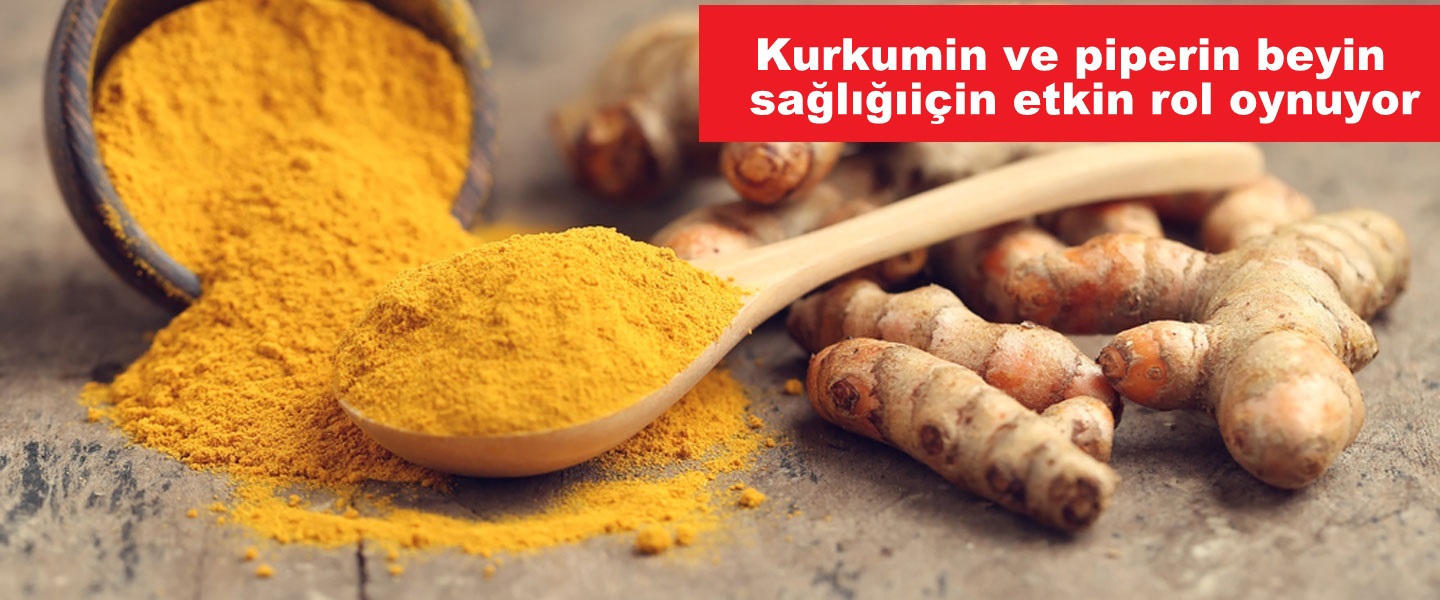 Kurkumin ve piperin beyin sağlığı için etkin rol oynuyor