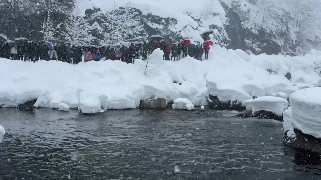 RİZE - Kar yağışı altında "9. Kış Yüzme Şenliği" yapıldı