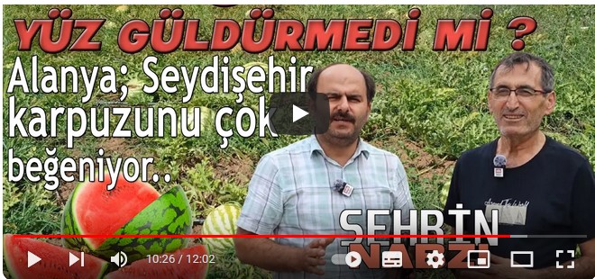 Şehrin Nabzı | Karpuz üreticisi kan ağlıyor!.. | Karpuz tarlada kaldı...