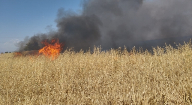 Seydişehir'de buğday tarlası yandı