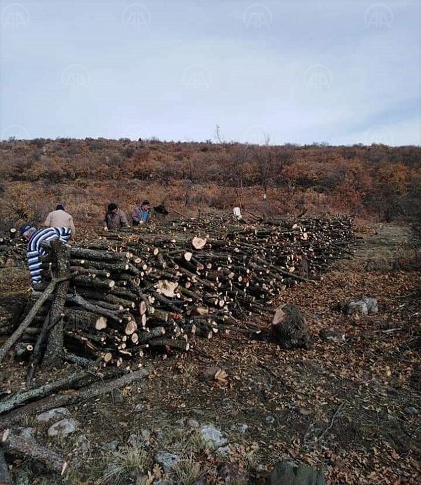 Seydişehir'de kışlık yakacak kesimi başladı