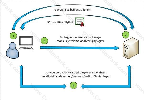 SSL Nedir ve Nasıl Çalışır?