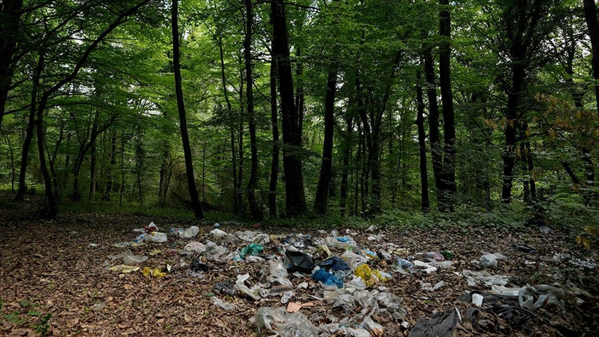Tatil  biter ormanlık alan ve plajlarında geriye çöpler kalır