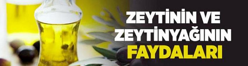 Zeytinin ve Zeytinyağının Faydaları Nelerdir?