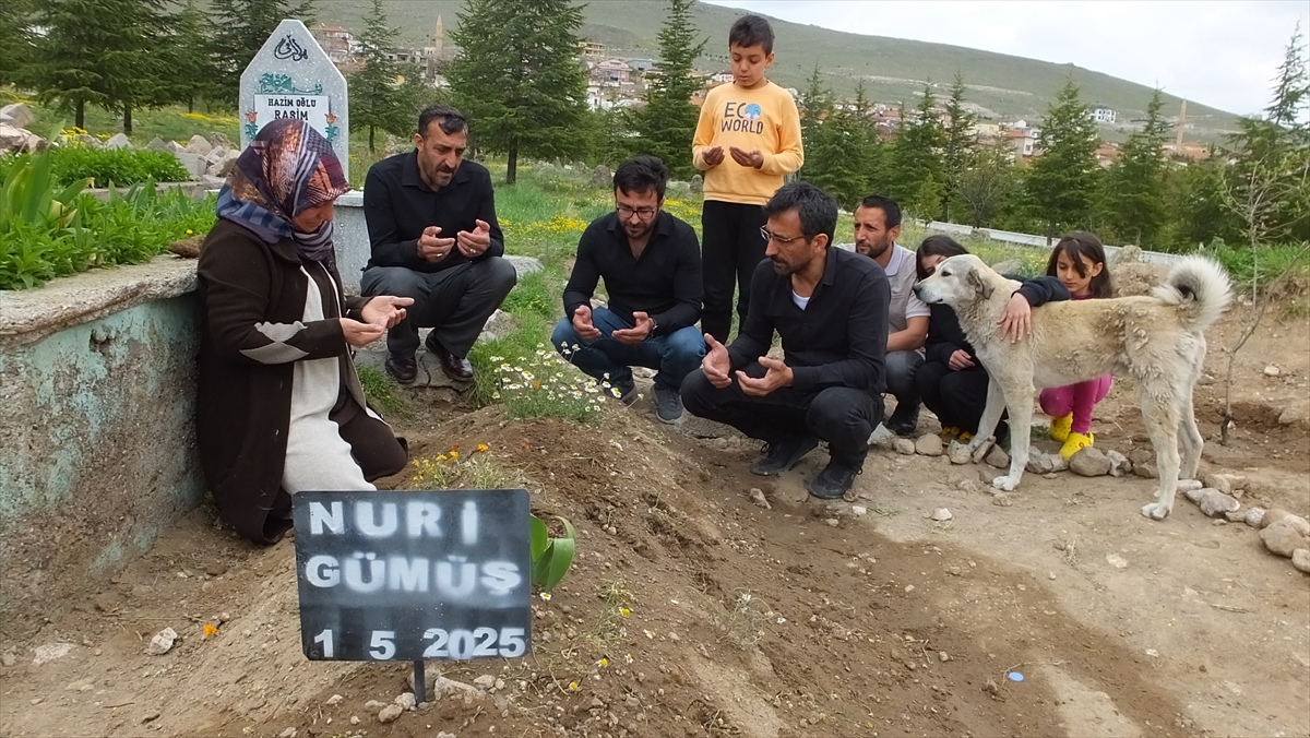 Nevşehir'de "Garip" adlı köpek, sahibinin mezarının başından ayrılmıyor