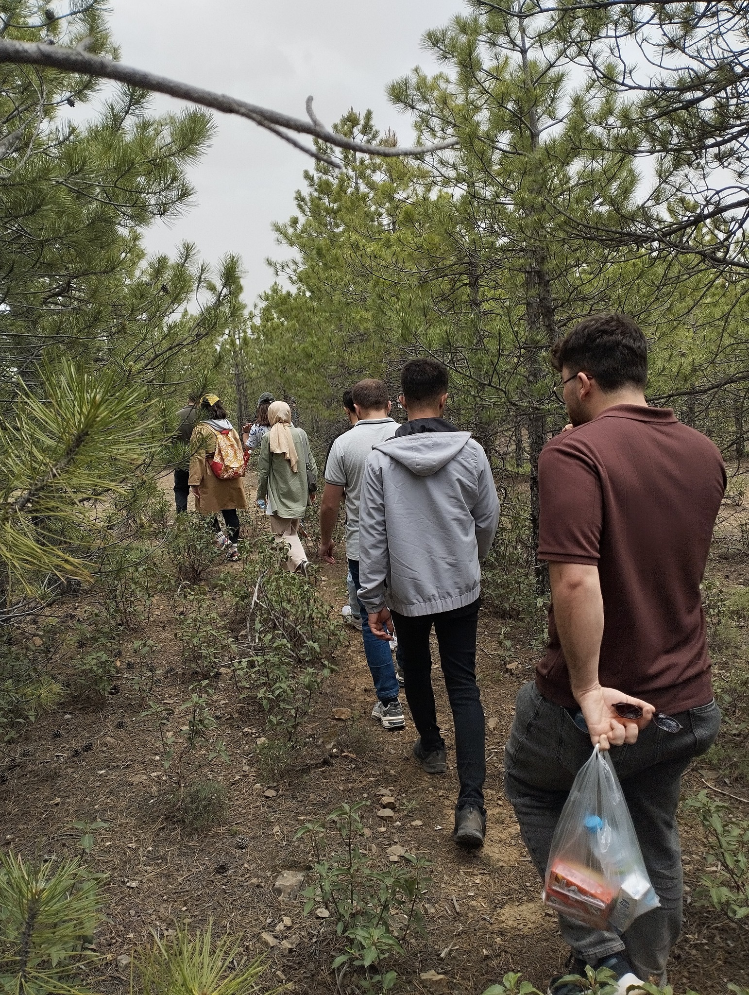 Seydişehir'de "Aile Yılı" Doğa Yürüyüşüyle Birlik ve Beraberlik Vurgusu