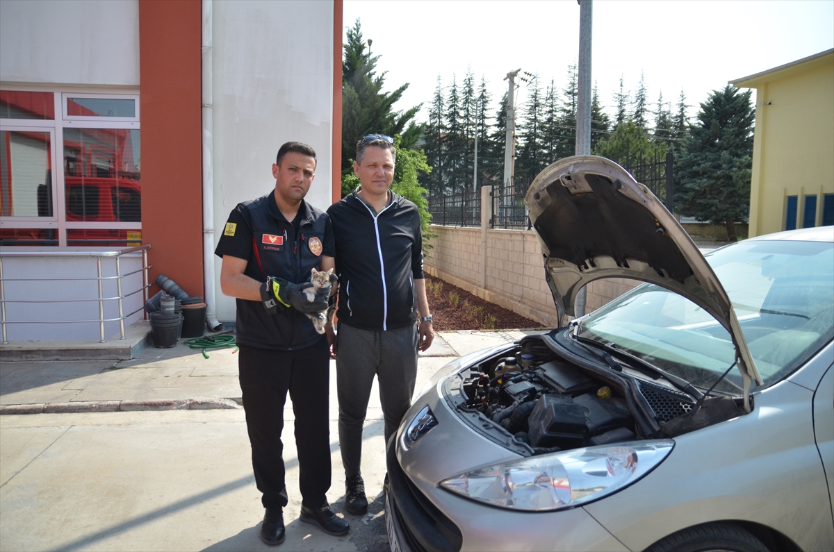 Arabada sıkışan kediyi kurtaran itfaiye memuru ve araç sahibi o anları anlattı
