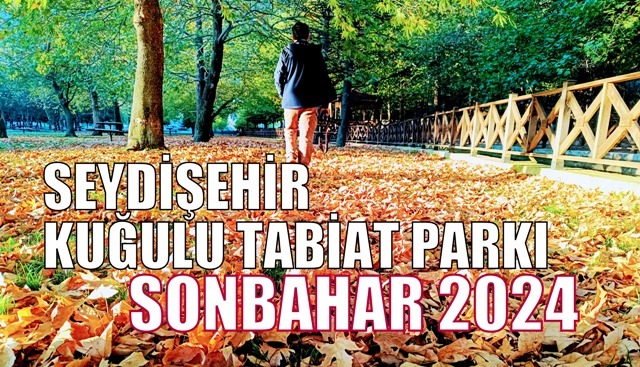 Kuğulu Tabiat Parkı: Doğanın Kalbinde Bir Cennet